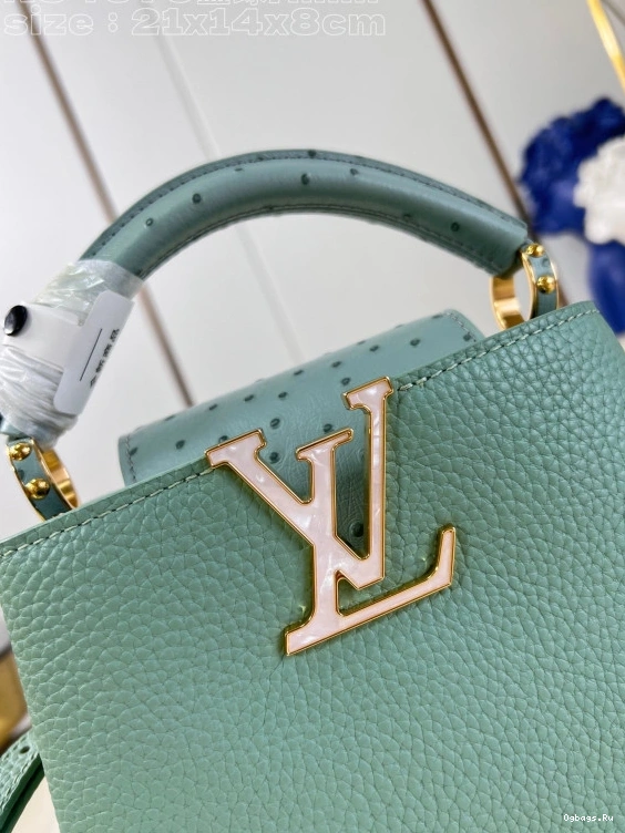 VUITTON CAPUCINES MINI-22*12*8CM LOUIS 1228